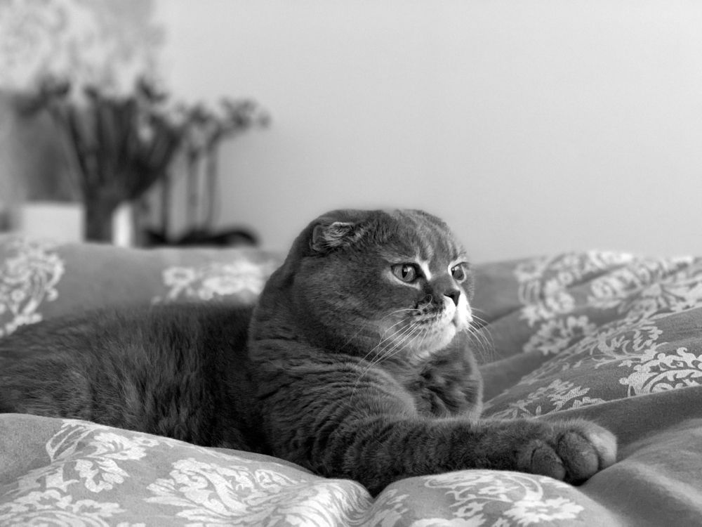 Photograph by Sergejs Demjanenko