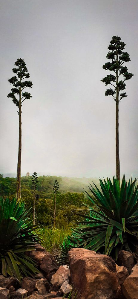 Landscape photography