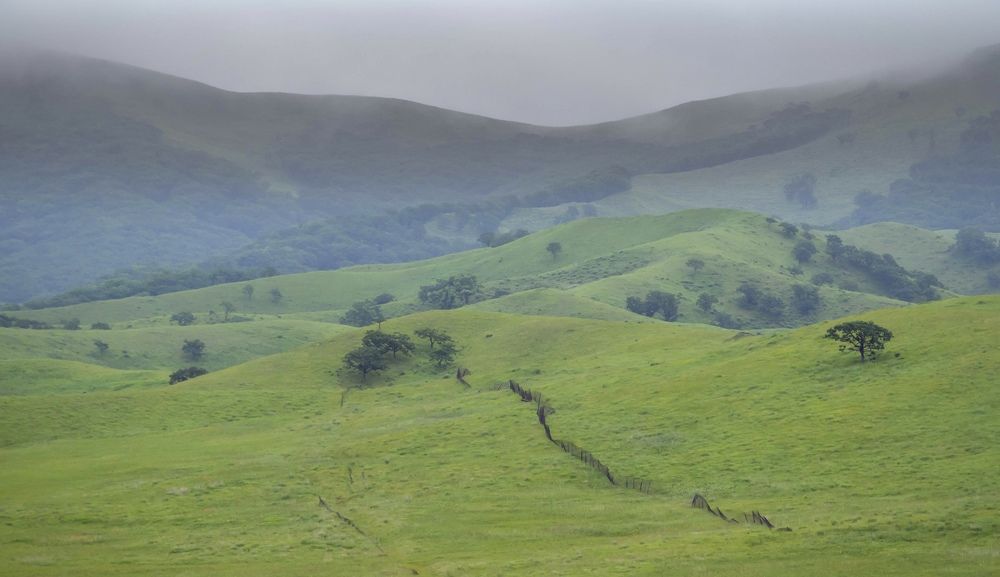 Photograph by Олег Волков