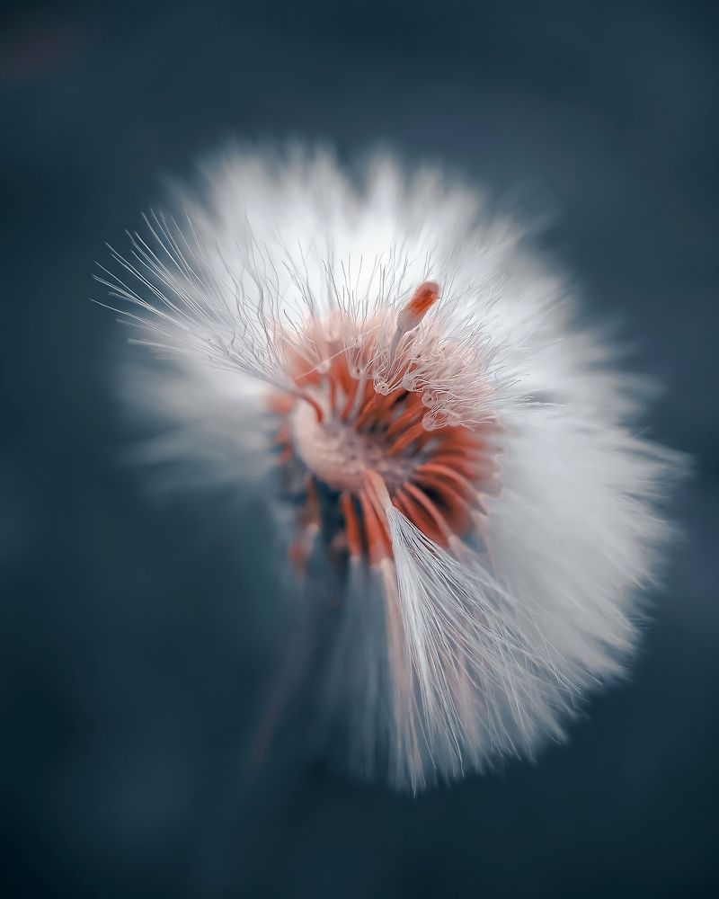 Photograph by Алексей