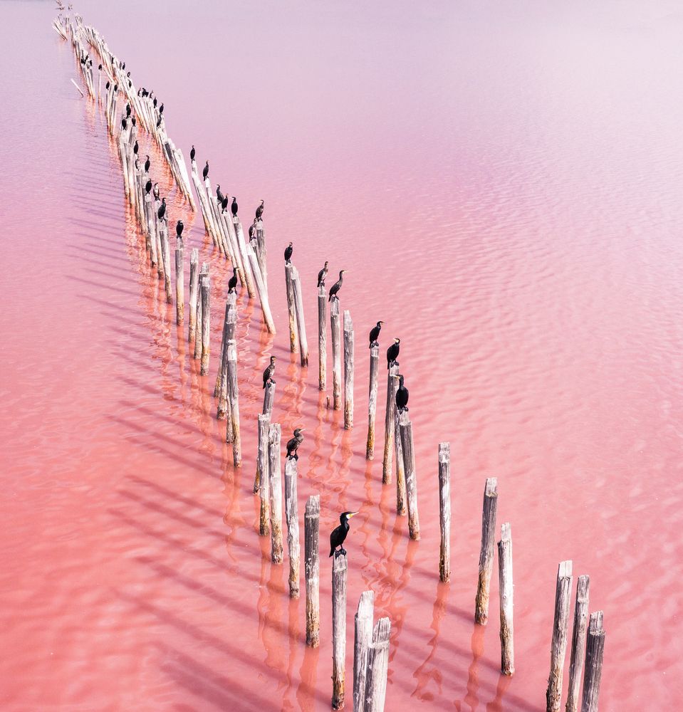 Фотография автора Филиппов Дмитрий