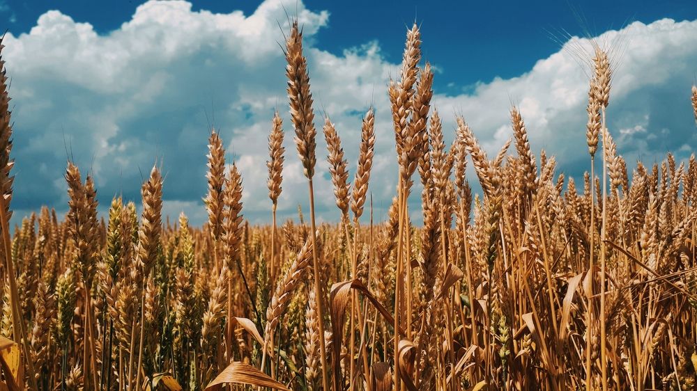 Photograph by Алёна Бондаренко