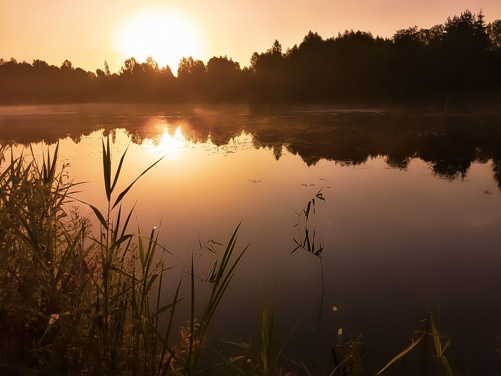 Photograph by Александр Деркач