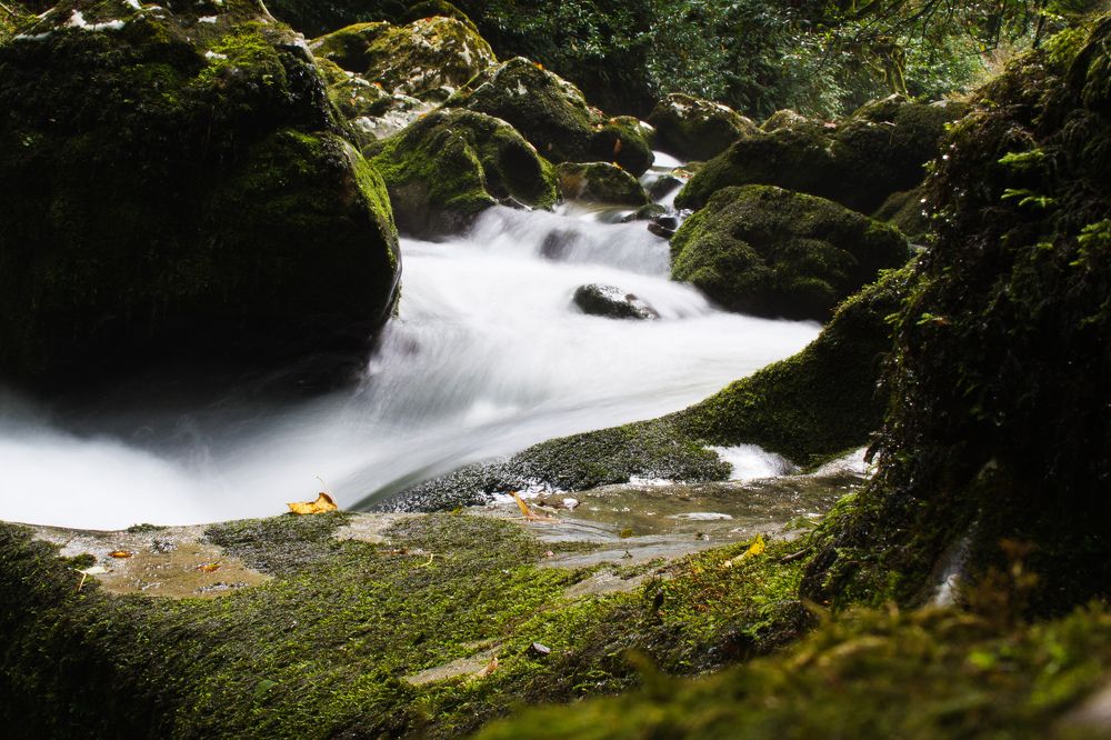 Photograph by Любовь Нефедова