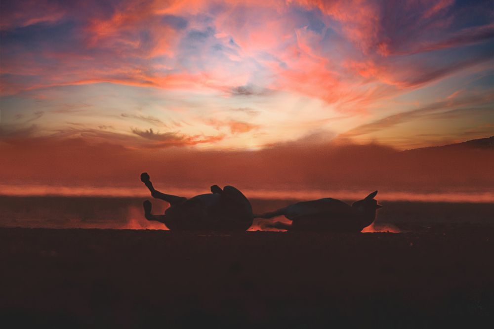 Фотография автора Sudipta Chakraborty