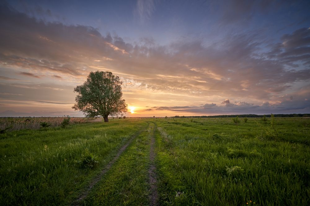 Фотография автора Сергей Леденёв