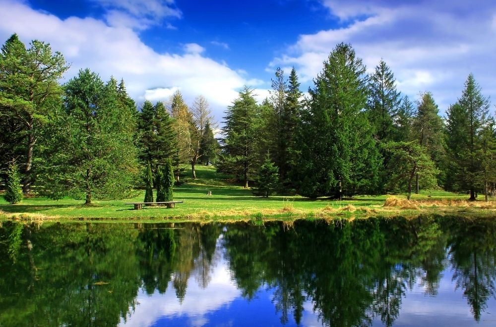 Фотография автора Razgulyaev Aleksandr