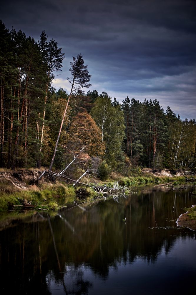 Фотография автора Сергей Леденёв