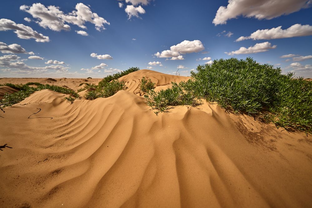 Фотография автора Сергей Леденёв