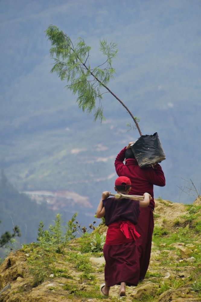 Our Mother Earth