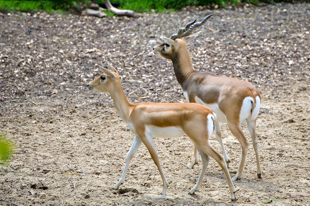 Photograph by Эдуард Шадров