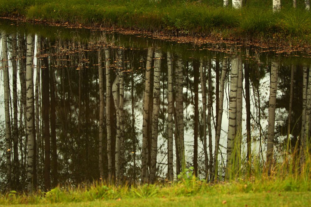 Photograph by Viktors Giršsons