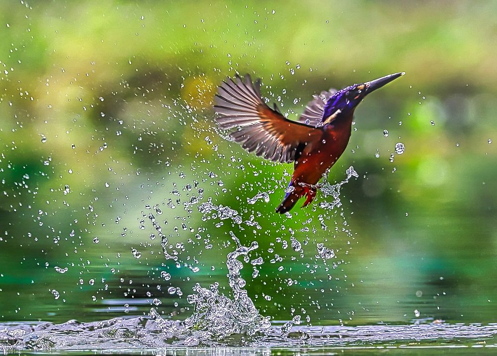 Photograph by Teguh Aria Djana