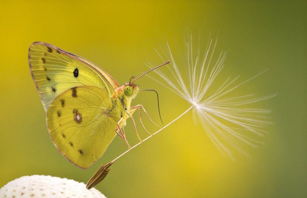 Фотография автора Andrey Pristyazhnyuk