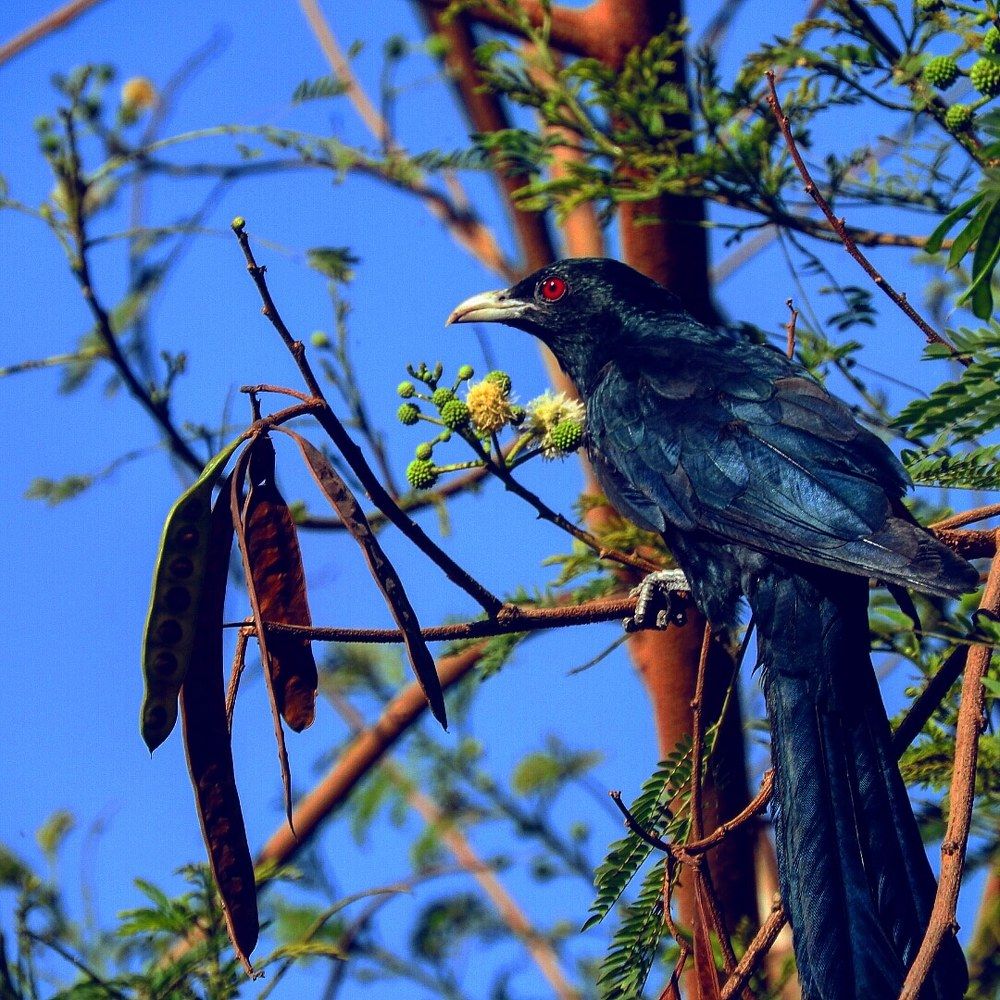 Photograph by Rupal Verma