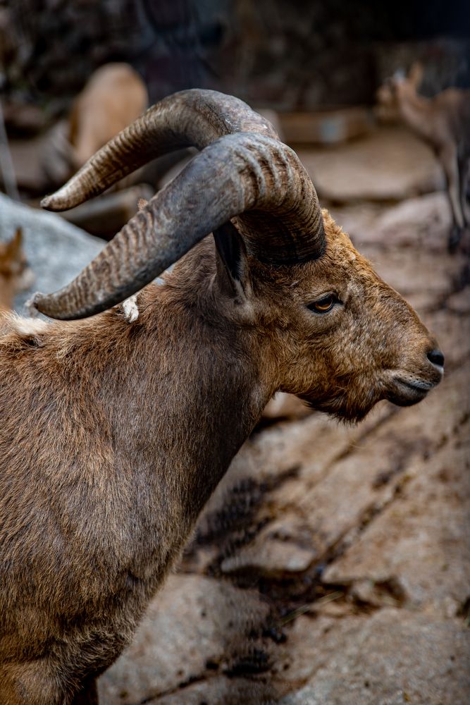 Photograph by Юлия Полянцева