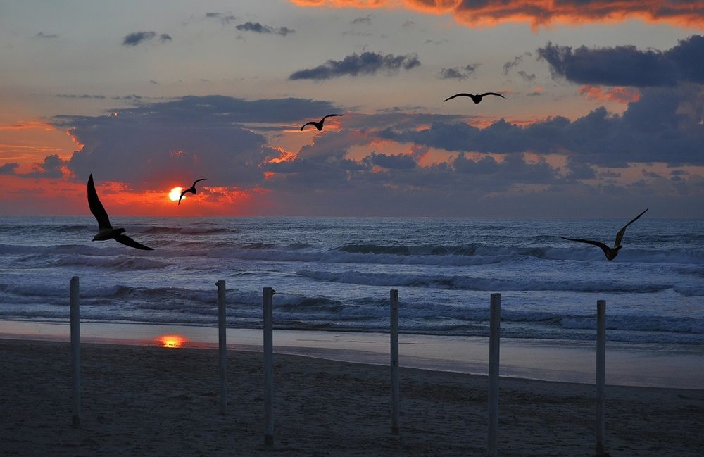 Огненый  закат