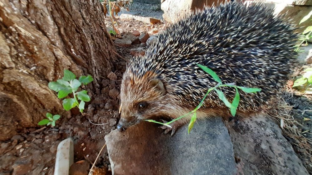 Photograph by ИГОРЬ