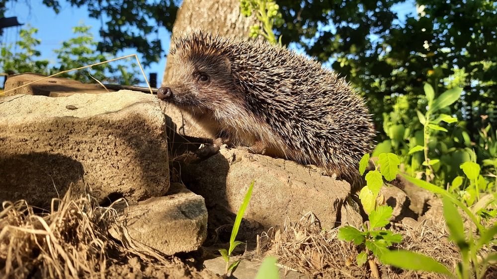 Photograph by ИГОРЬ