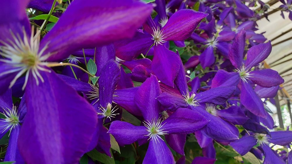 Photograph by ИГОРЬ