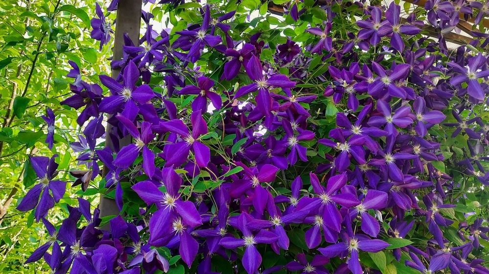 Photograph by ИГОРЬ