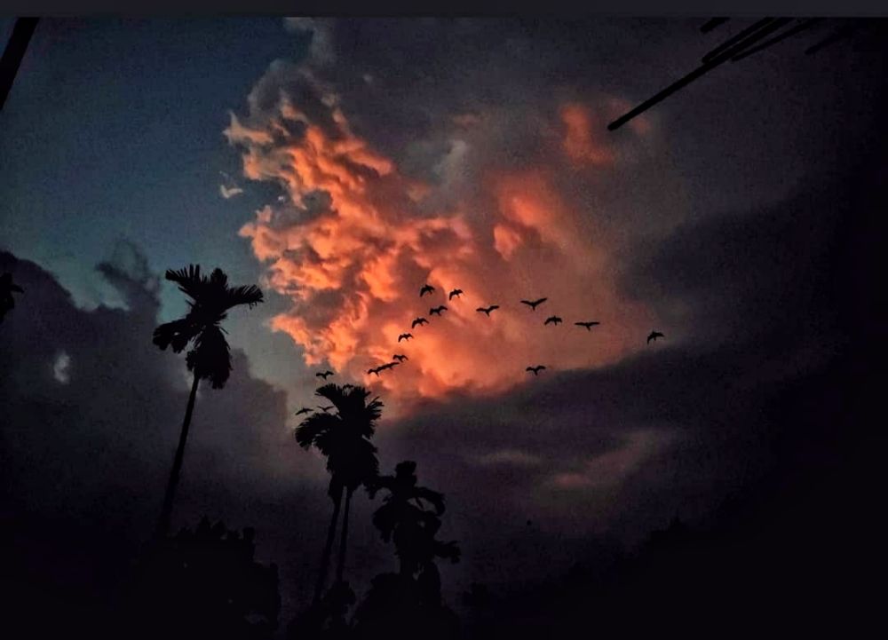 Photograph by Dutta Ankita