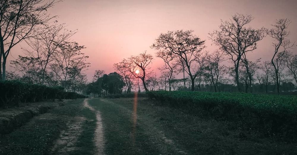 Photograph by Dutta Ankita