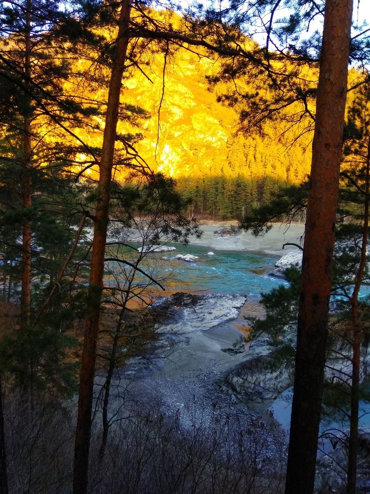 Фотография автора галина лапшина