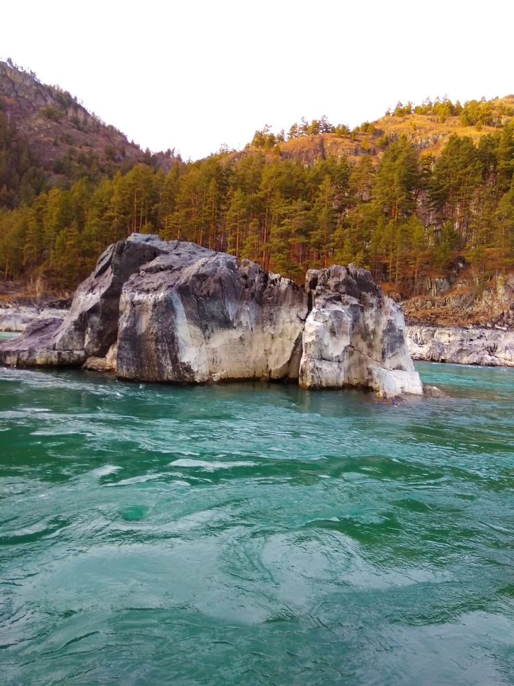 Фотография автора галина лапшина