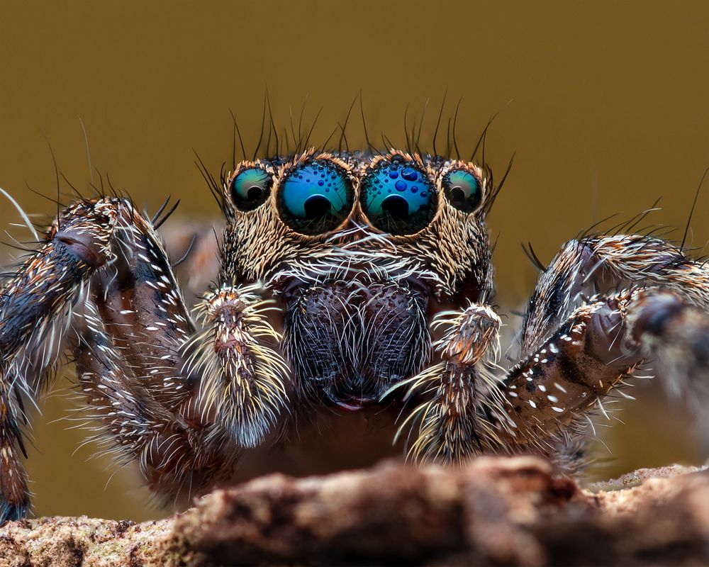 Photograph by Su Vun Lee