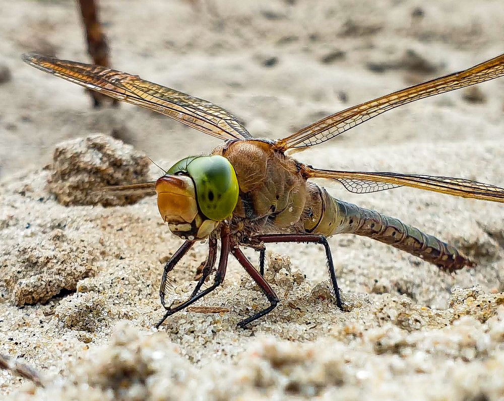 Photograph by Луценко Роман