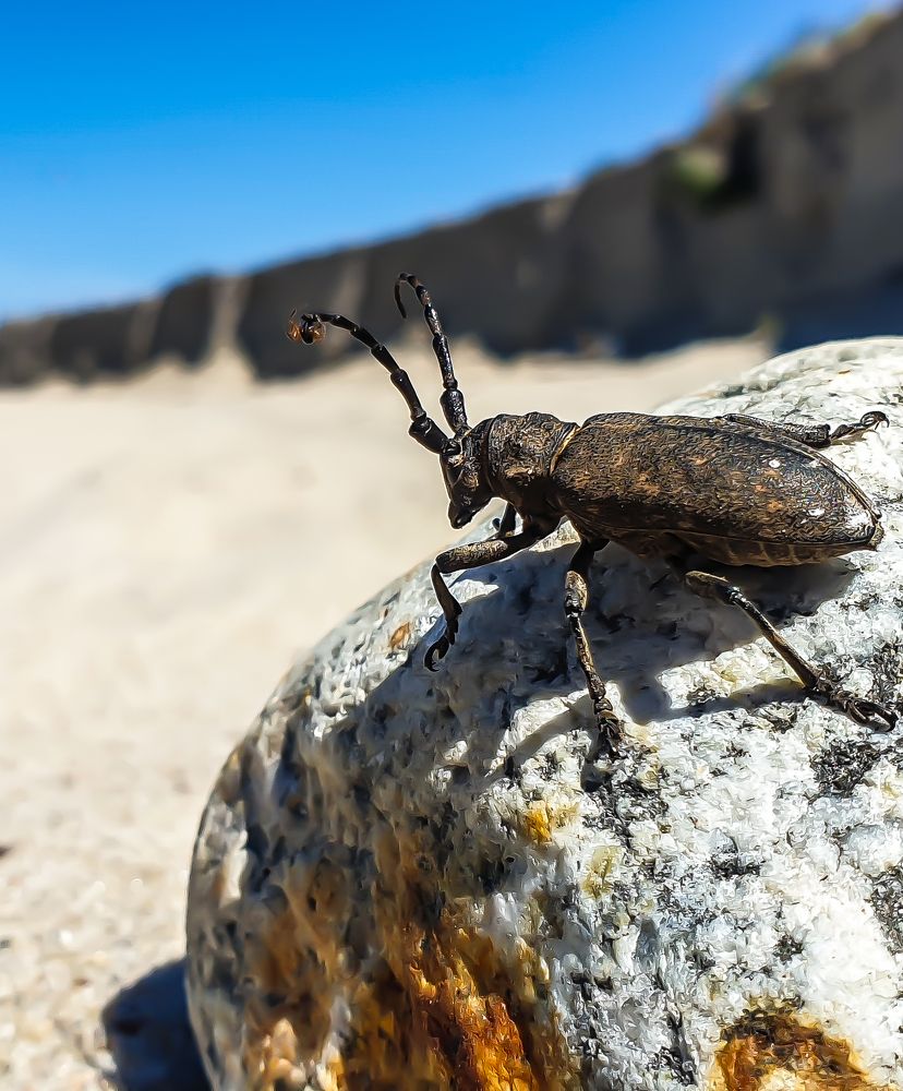 Photograph by Луценко Роман