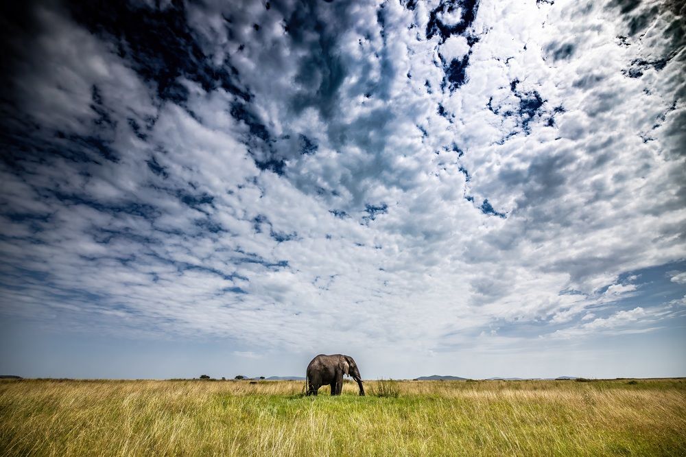 Photograph by Adrian Grigore