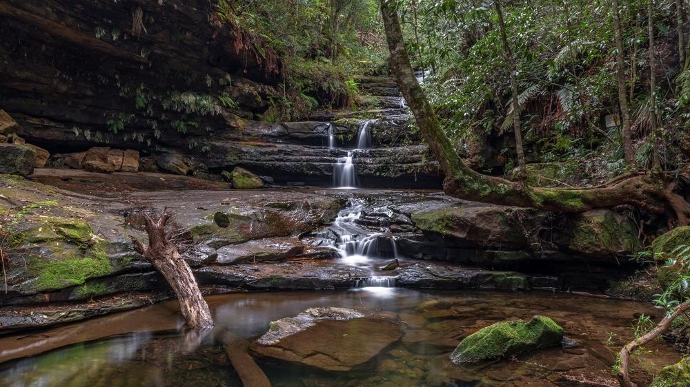 Photograph by Janet Williams