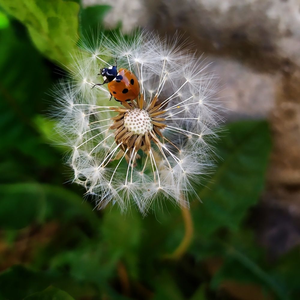 Photograph by Елена Павлова