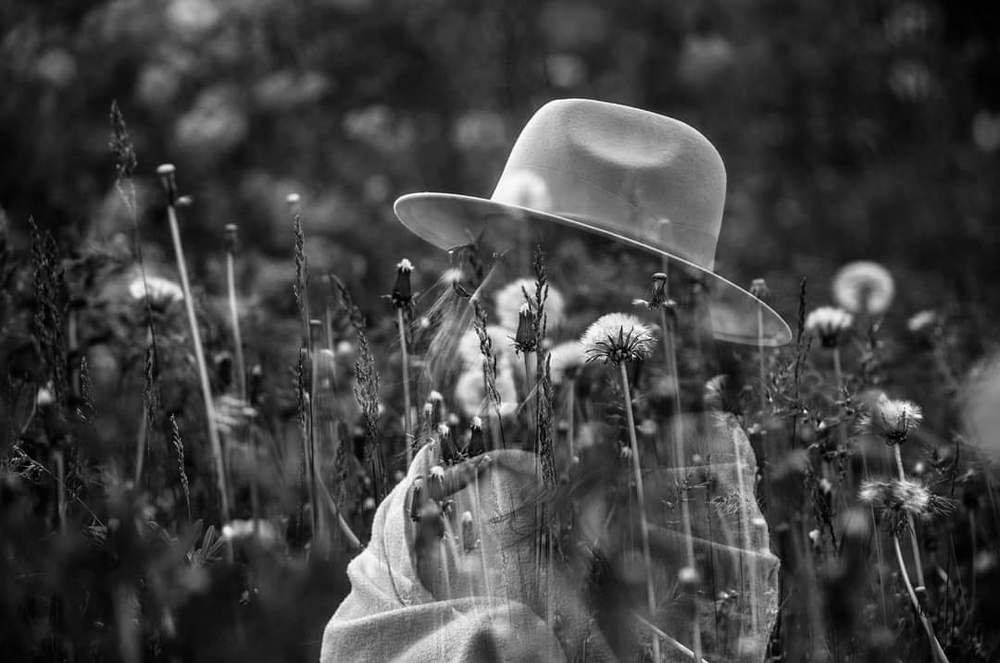 Фотография автора Алла Балабан