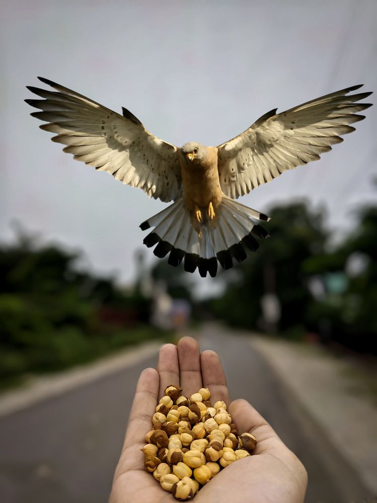 Photograph by Utkarsh Sinha