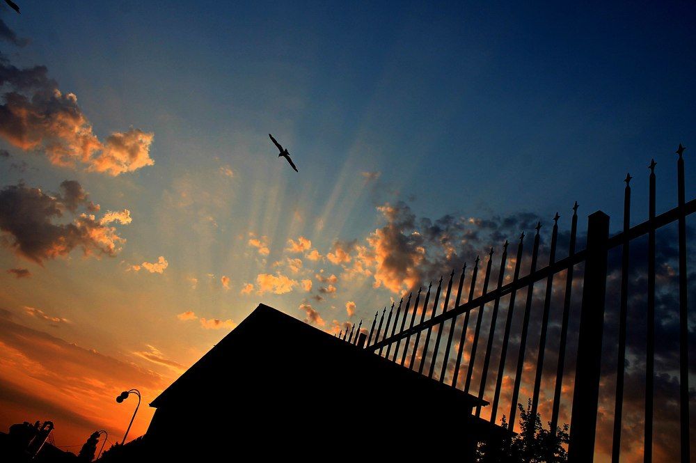 Photograph by Артемова Таня