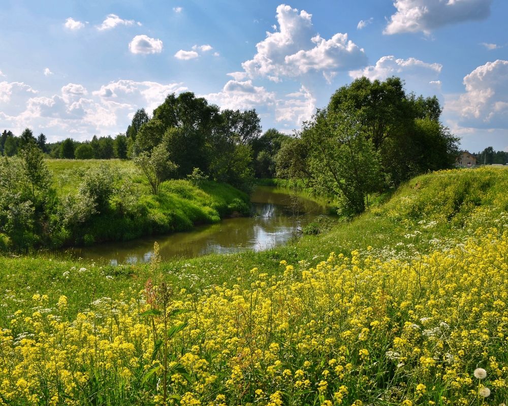 Photograph by Алина Голубева
