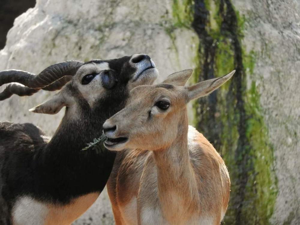 Photograph by Rupal Verma