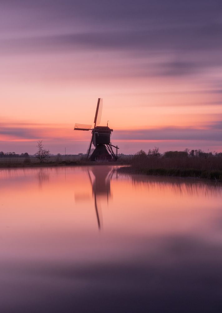 Dutch morning painting