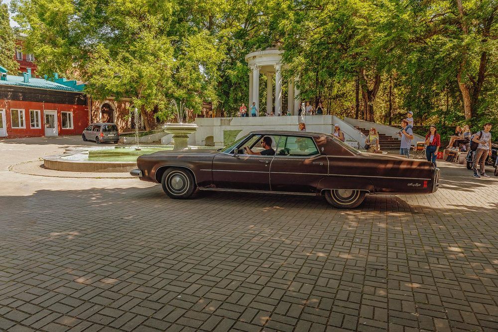 Photograph by Владимир Гамаюнов