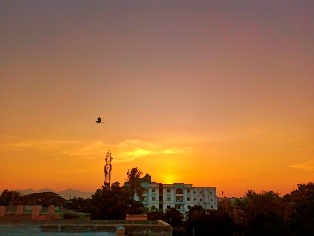 Chill sunset