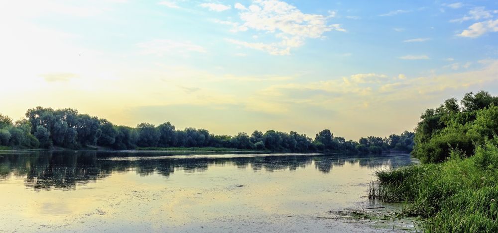 Утро у реки