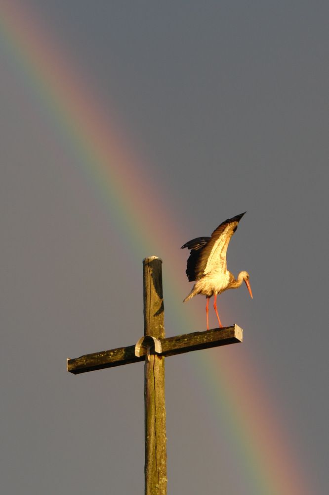 Photograph by Сергей Тарасюк