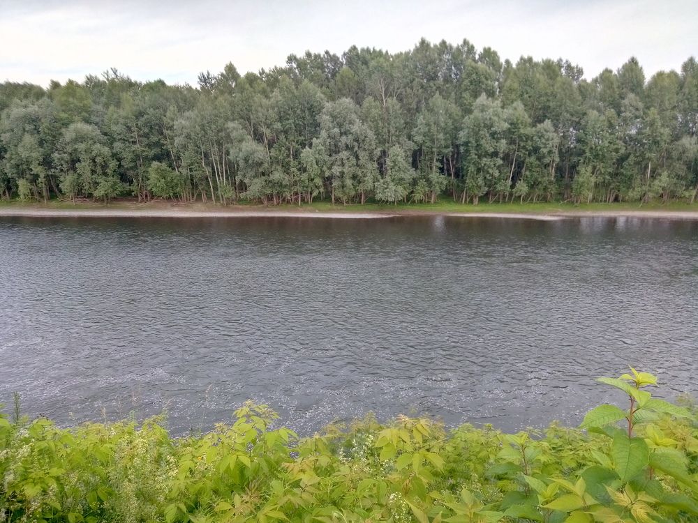 Photograph by Илья Поляков