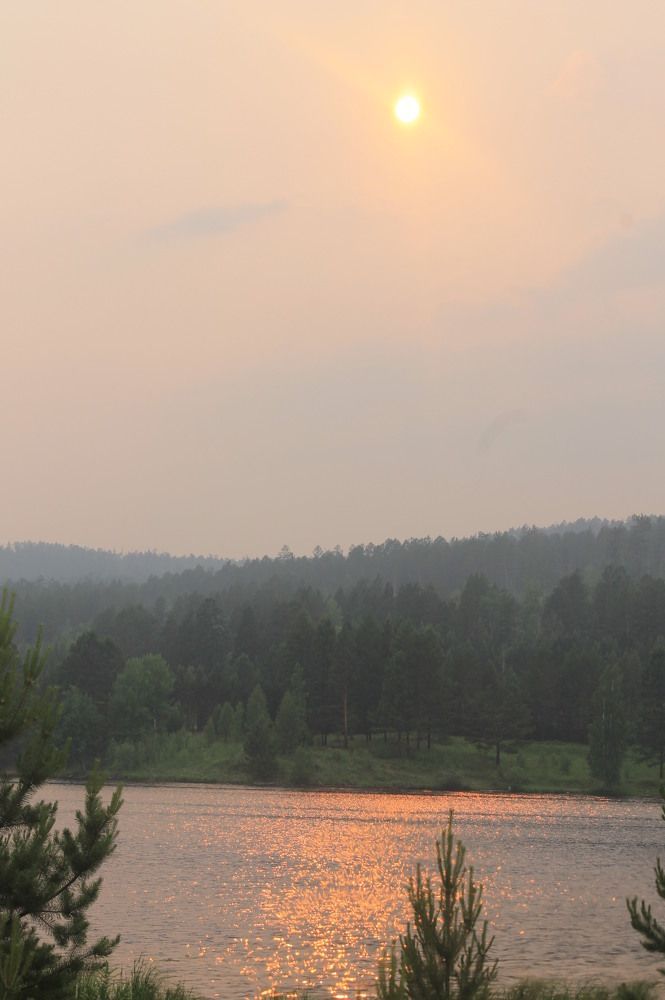 Photograph by Галина Радчук