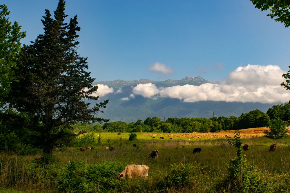 Photograph by Дмитрий Лебедев