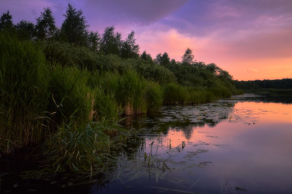 Photograph by Сергей Межин