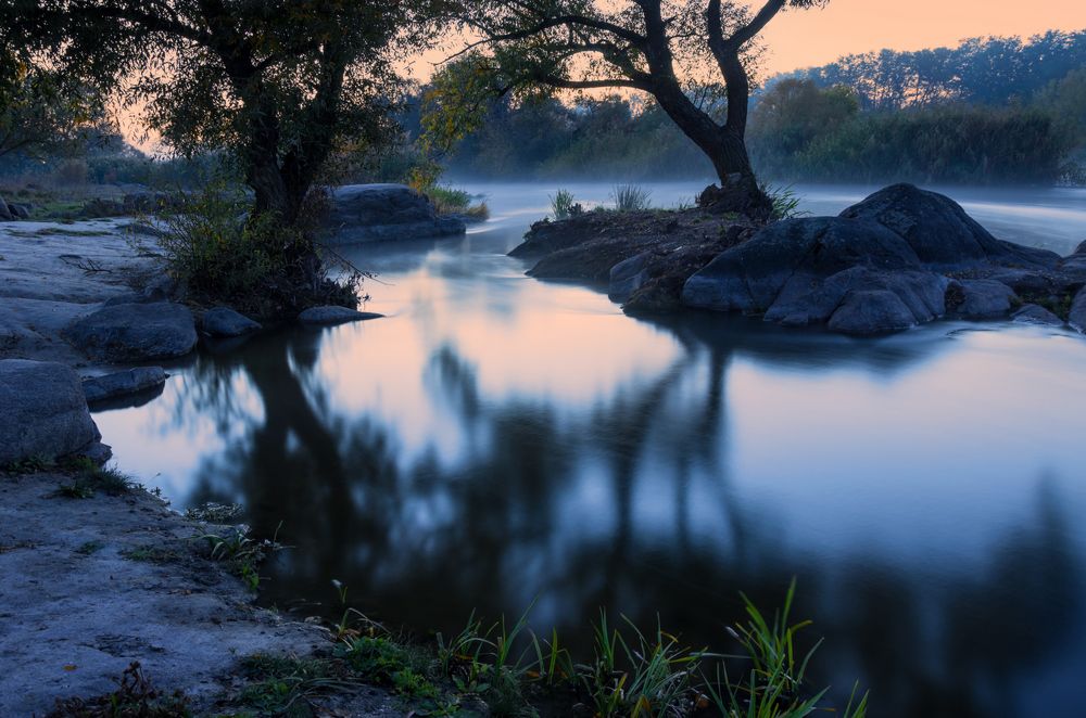 Сливово-персиковое